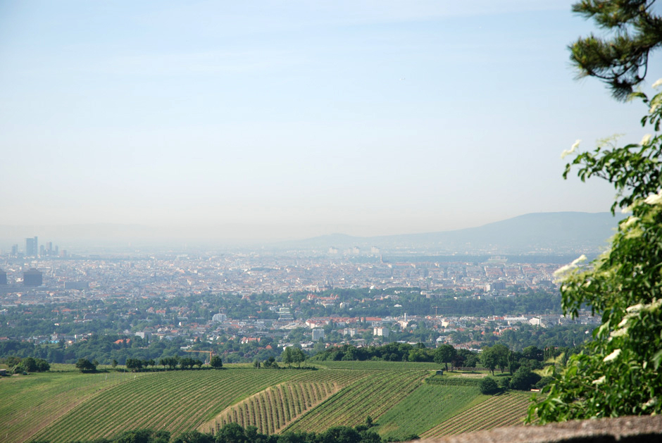 Rundblick von der Aussichtsterasse Leopoldsberg