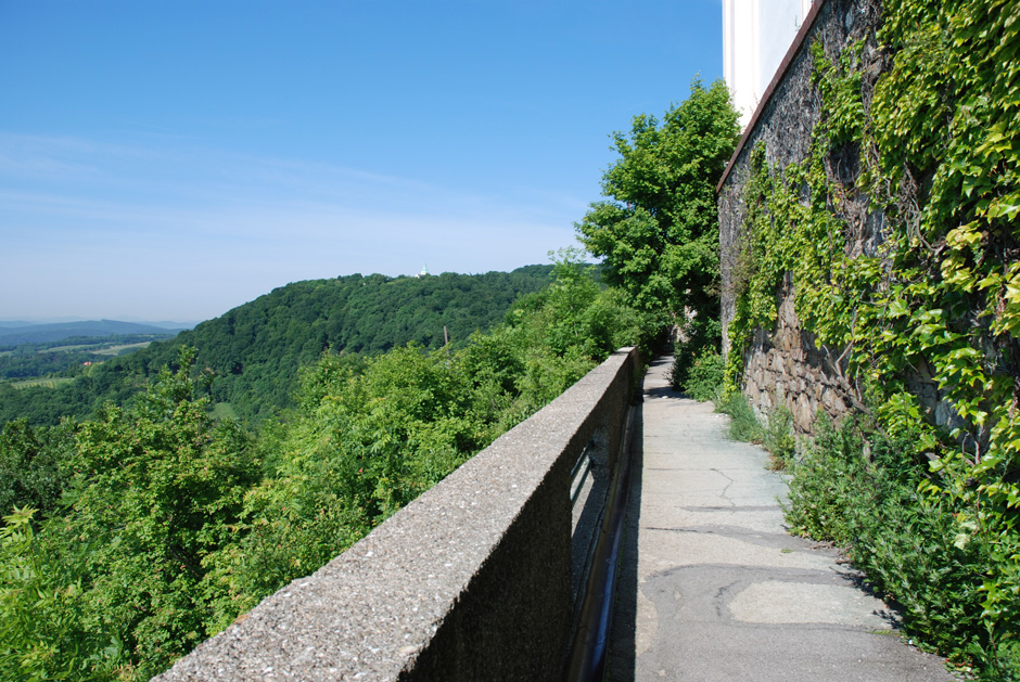 Nasenweg beim Leopoldsberg