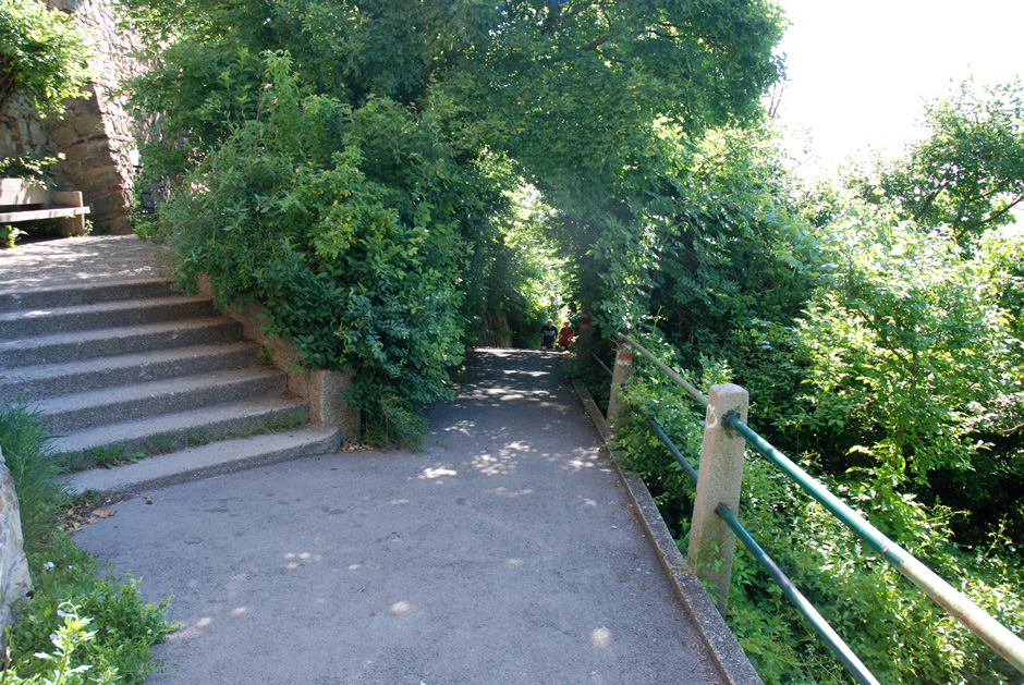 Nasenweg beim Leopoldsberg