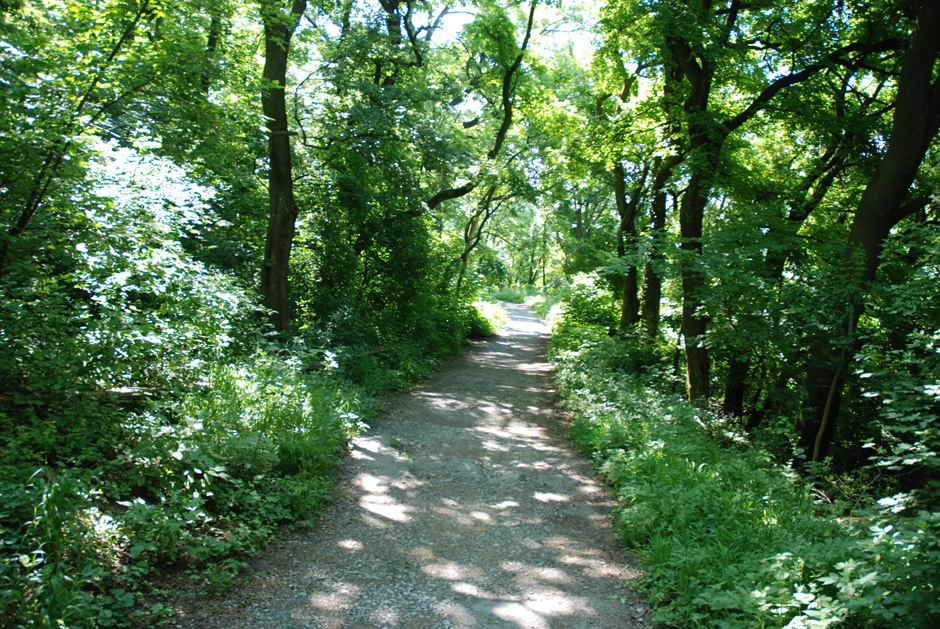 Stadtwanderweg 1a Leopoldsberg - Kahlenberg