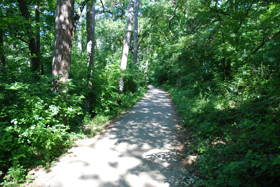 Stadtwanderweg 1a Leopoldsberg - Kahlenberg