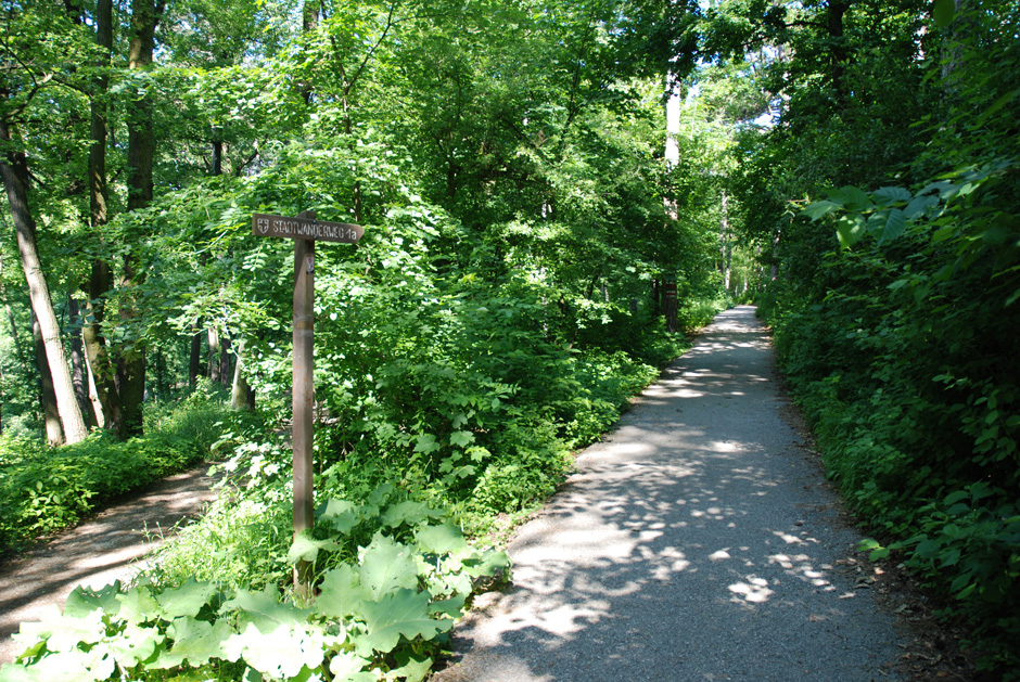 Stadtwanderweg 1a Leopoldsberg - Kahlenberg