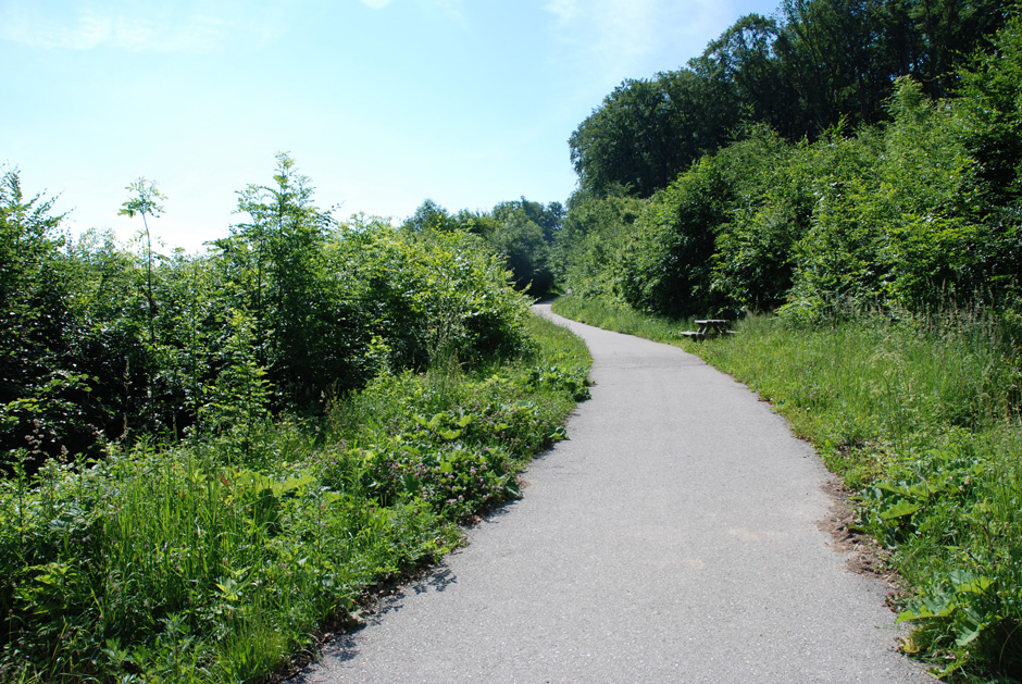 Stadtwanderweg 1a Leopoldsberg - Kahlenberg