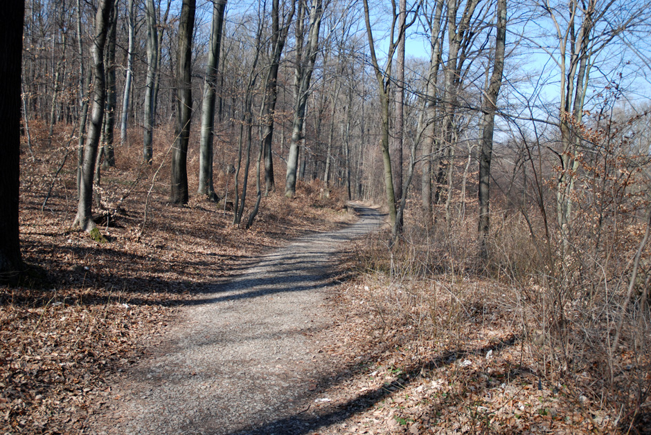 Entlang der Höhenstraße nach Grüass Di a Gott Wirt