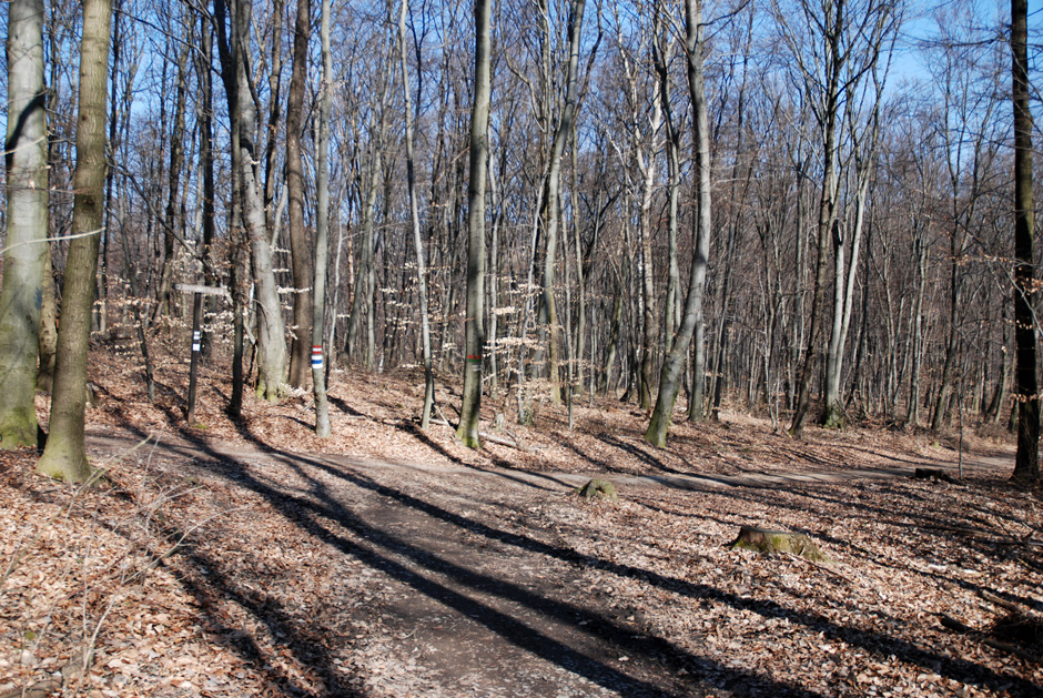 Entlang der Höhenstraße nach Grüass Di a Gott Wirt