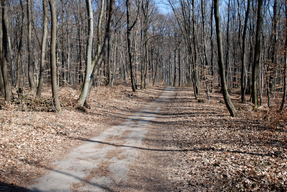 Entlang der Höhenstraße nach Grüass Di a Gott Wirt