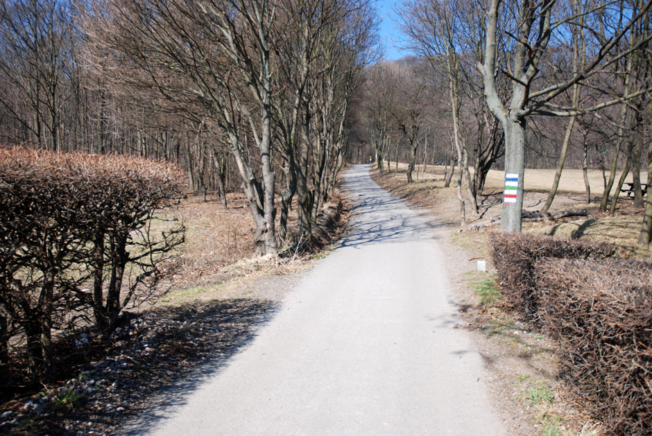 Richtung Hermannskogel, Habsburgwarte