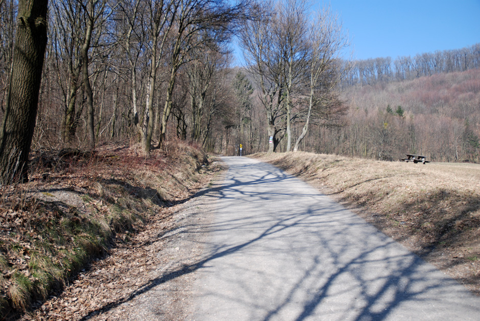 Richtung Hermannskogel, Habsburgwarte