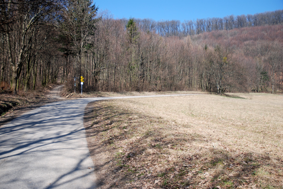 links Hermannskogel, Habsburgwarte und rechts Jägerwiese