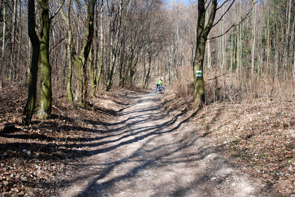 Richtung Hermannskogel, Habsburgwarte