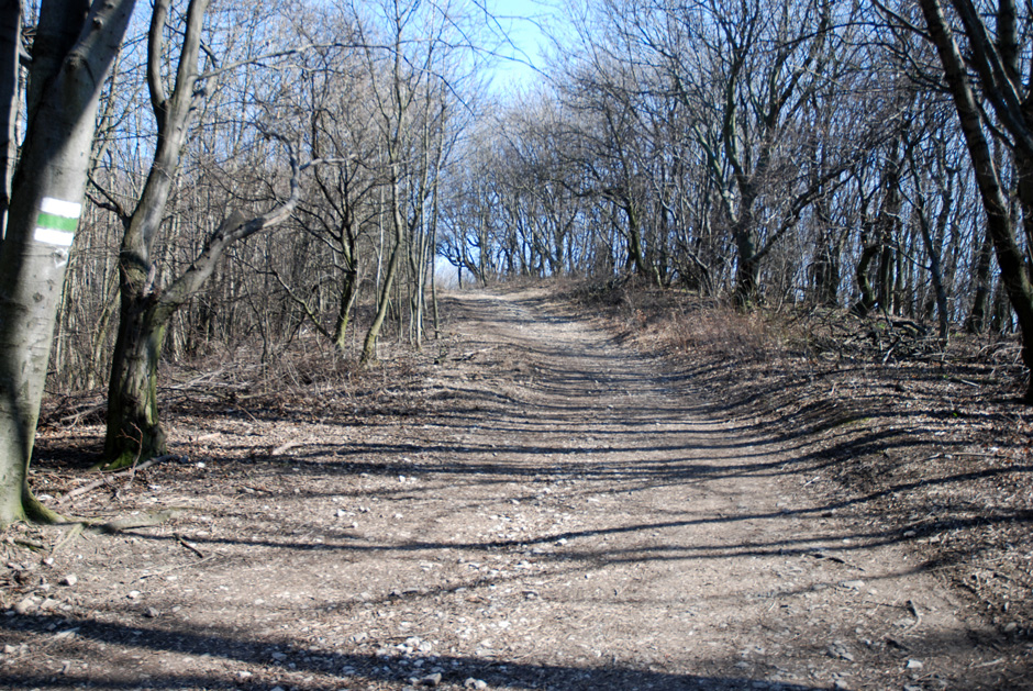 Richtung Hermannskogel, Habsburgwarte