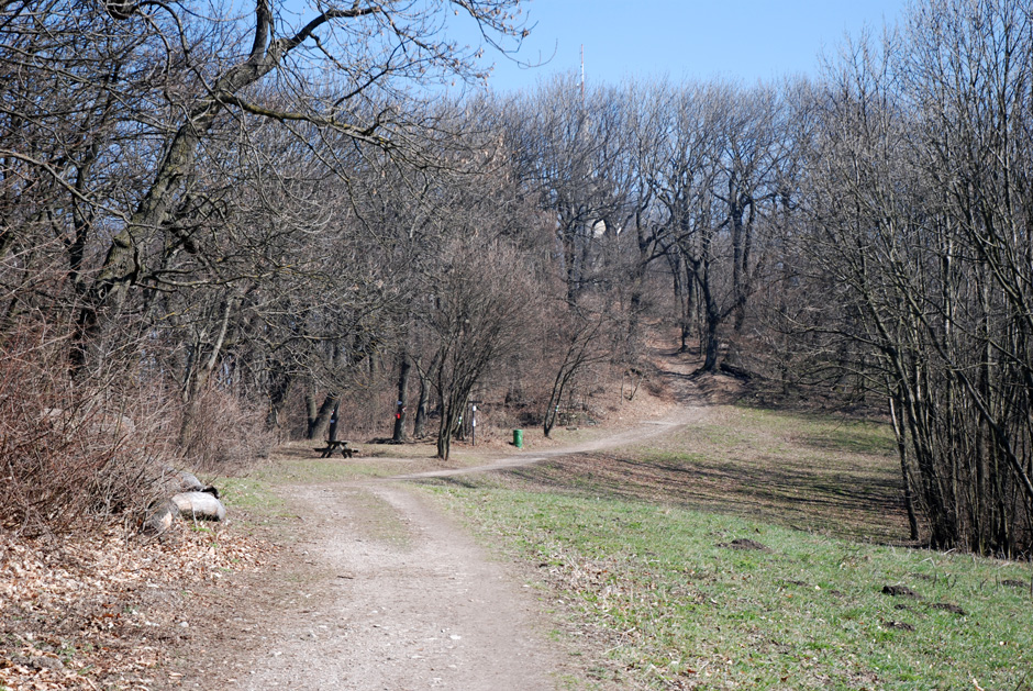 Richtung Hermannskogel, Habsburgwarte