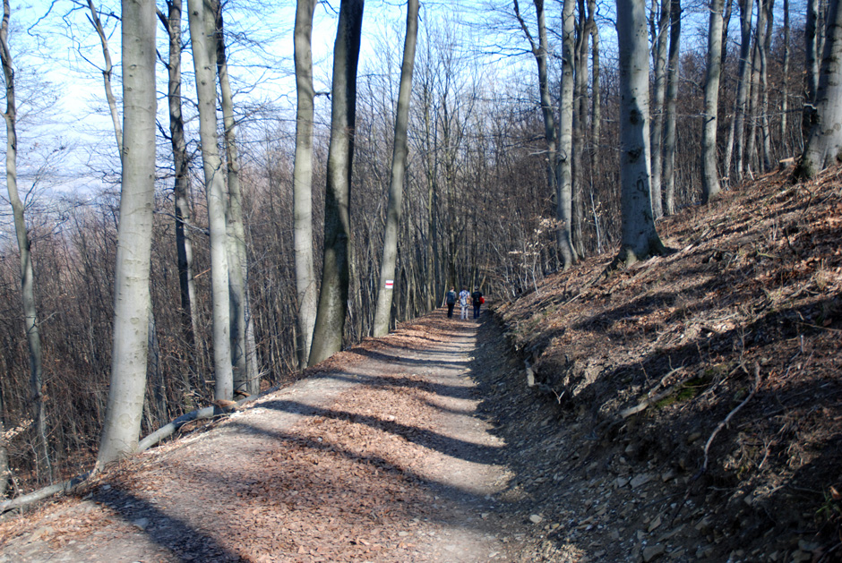 Richtung Jägerwiese