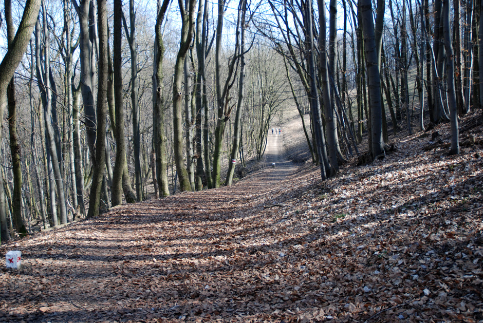 Richtung Jägerwiese 