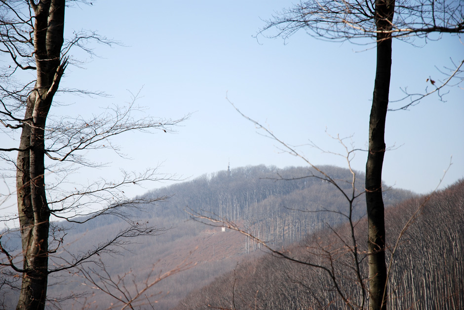 Rüblick Hermannskogel