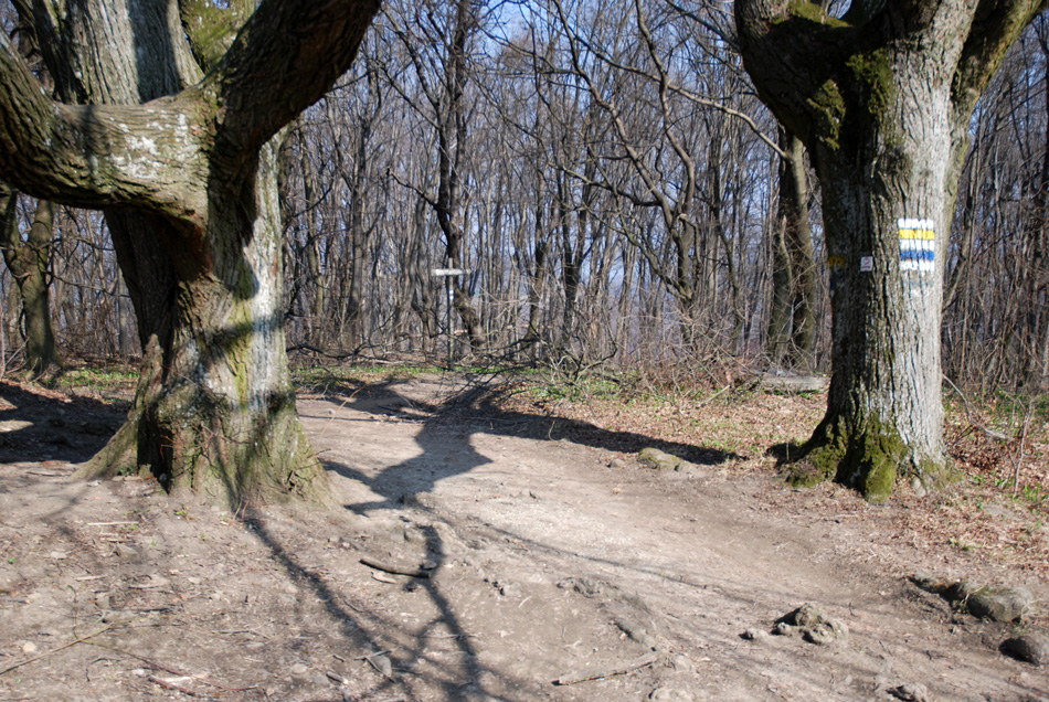 Richtung Dreimarkstein