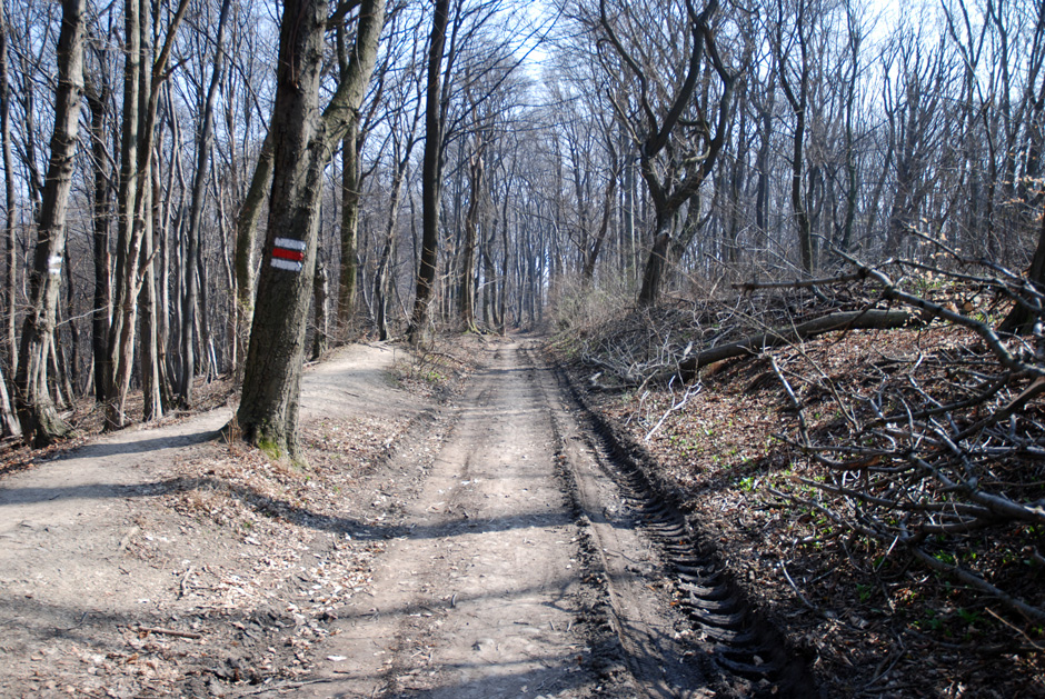 Richtung Dreimarkstein