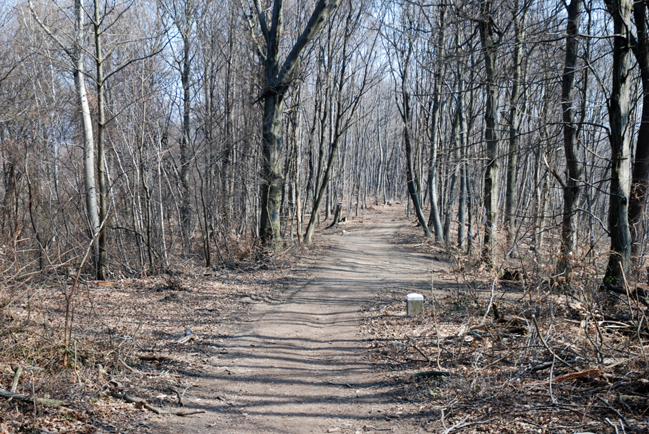 Richtung Dreimarkstein