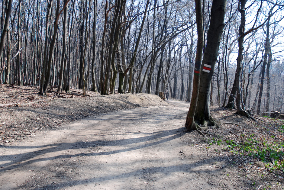 Richtung Dreimarkstein