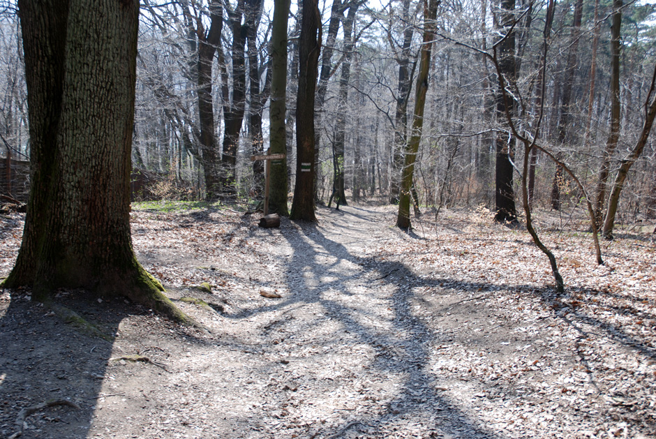 Waldrandweg