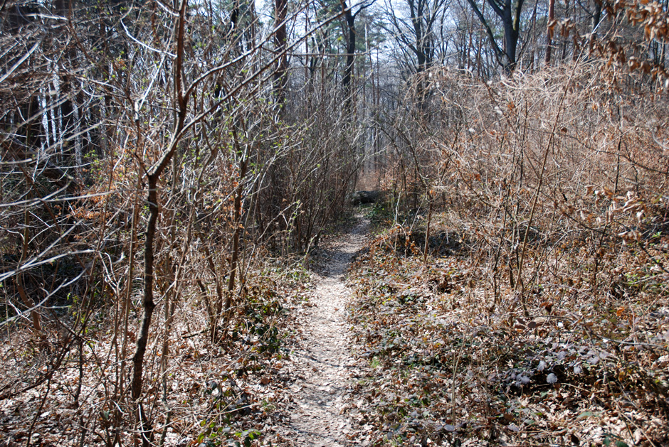 Waldrandweg