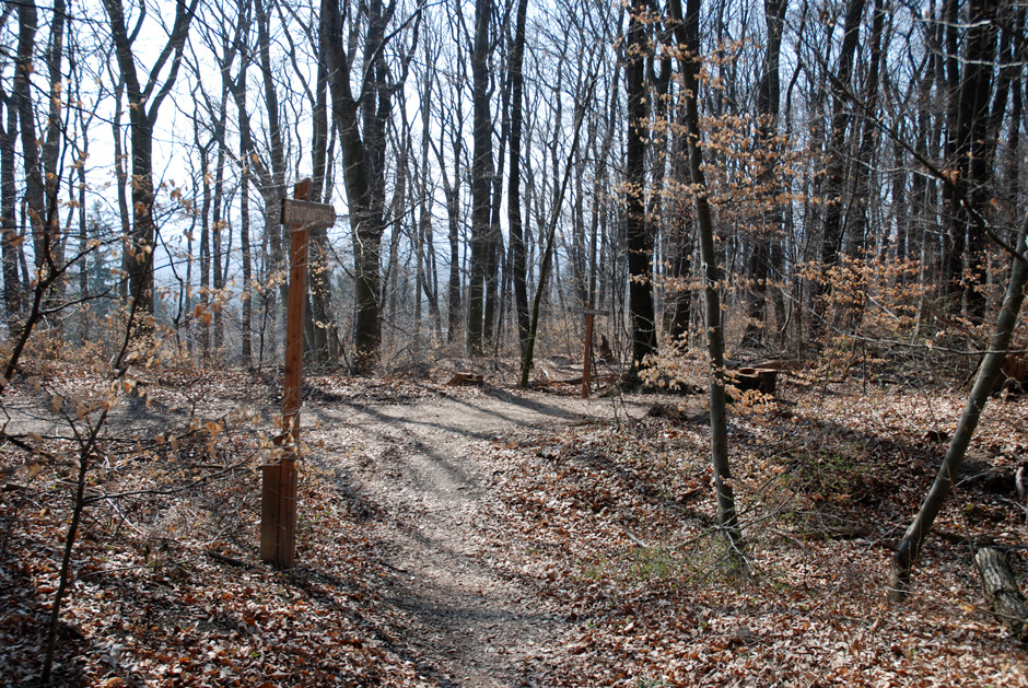 Waldrandweg