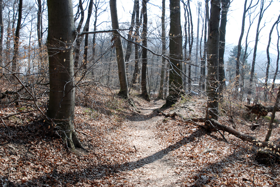 Waldrandweg