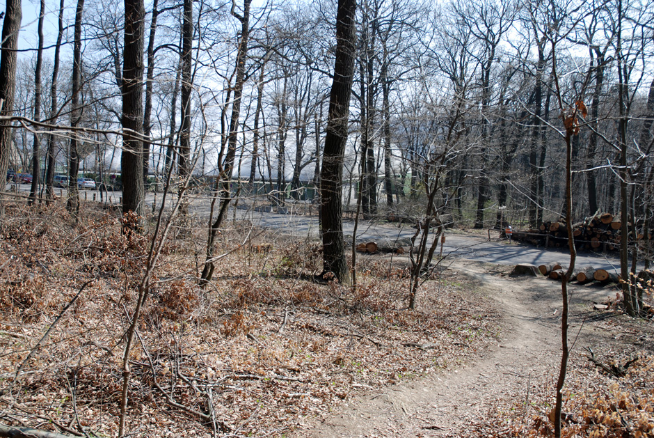 Waldrandweg