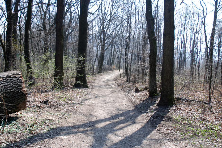 Waldrandweg