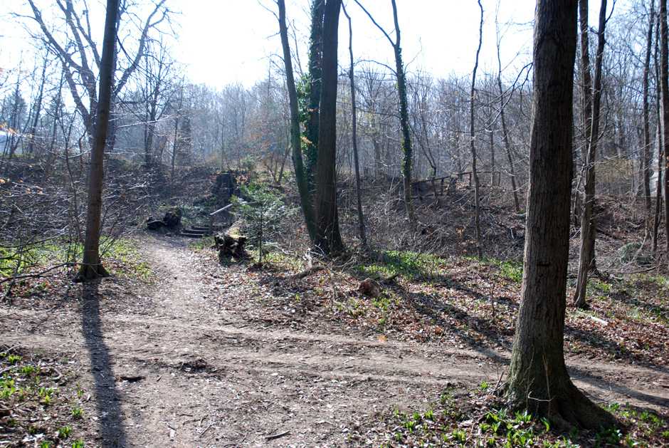 Richtung Schwarzenbergallee