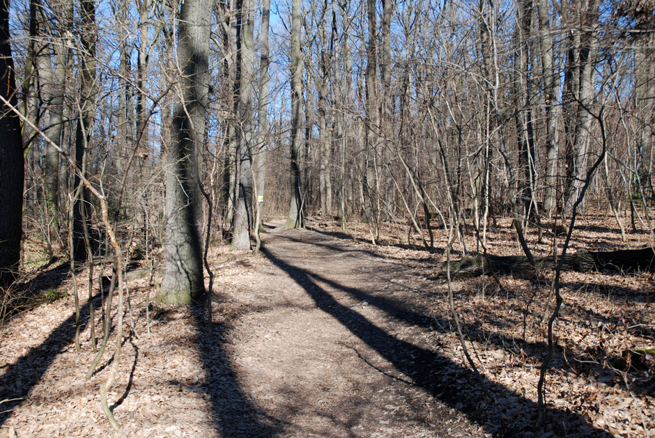 Wanderweg Richtung Jubiläumswarte