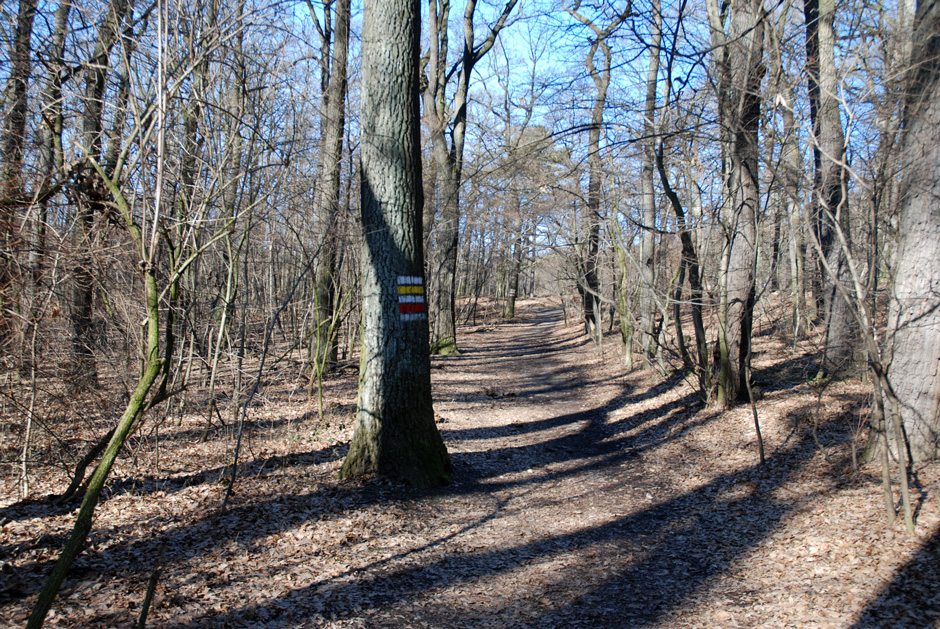 Wanderweg Richtung Jubiläumswarte