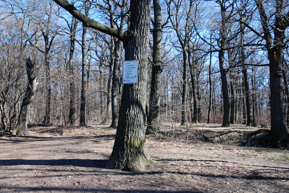 Wanderweg Richtung Jubiläumswarte