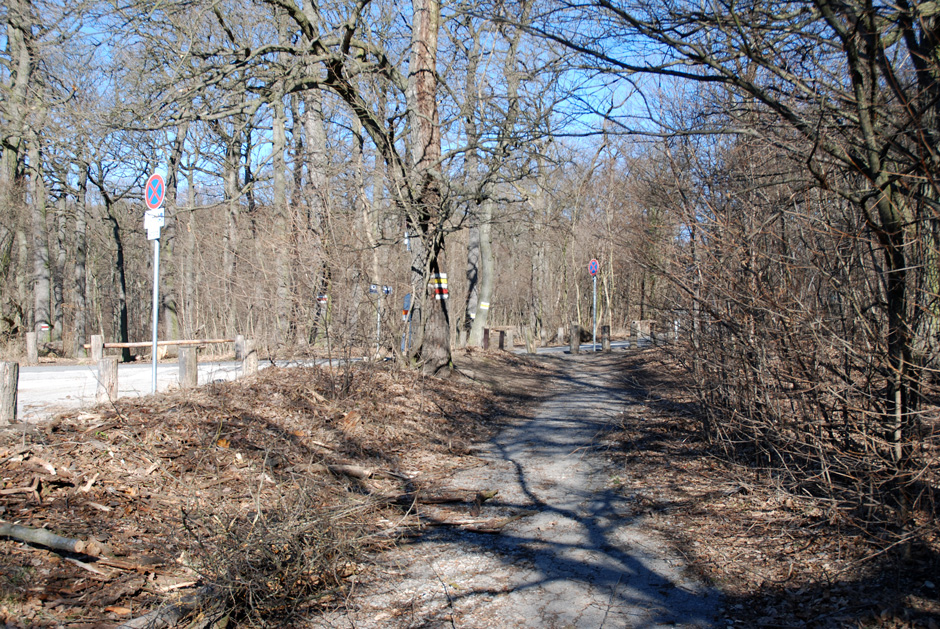 Wanderweg Richtung Jubiläumswarte