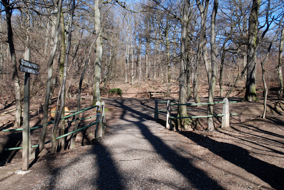 Wanderweg Richtung Jubiläumswarte