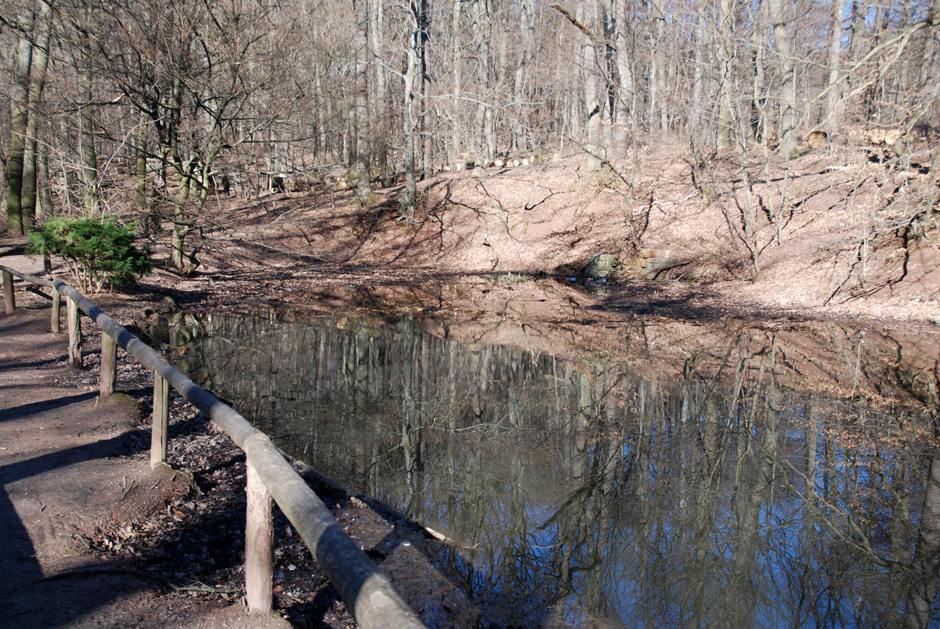 Teich am Wanderweg 