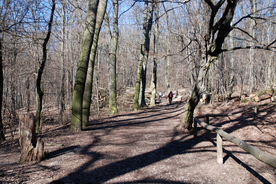 Wanderweg Richtung Jubiläumswarte