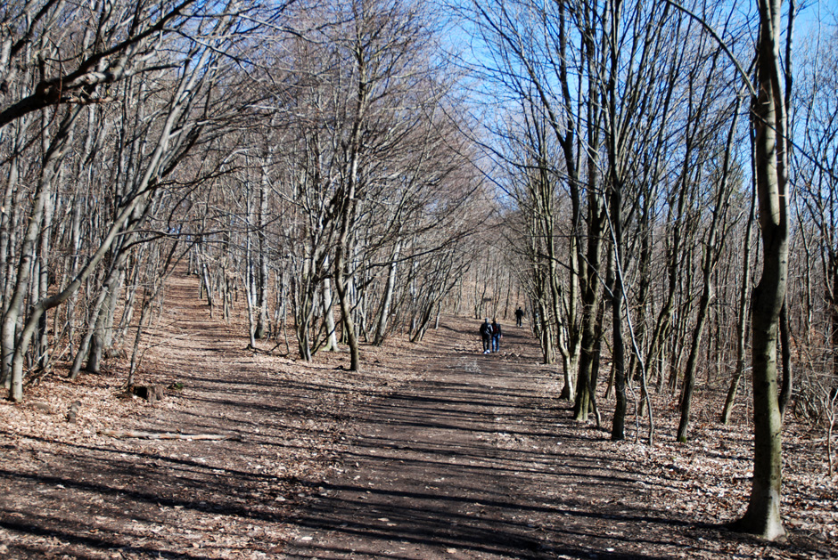 Wanderweg gelbe Markierung