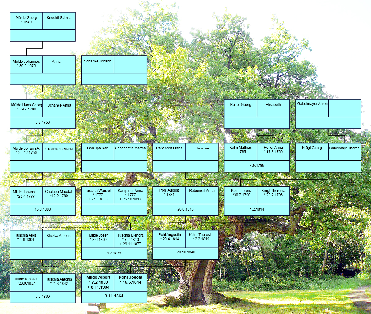 Stammbaum von Albert Milde ab 1640 bis 1904